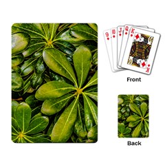 Top View Leaves Playing Card by dflcprints