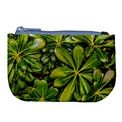 Top View Leaves Large Coin Purse by dflcprints