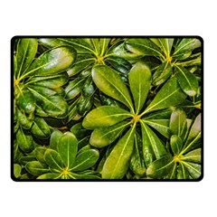 Top View Leaves Double Sided Fleece Blanket (small)  by dflcprints