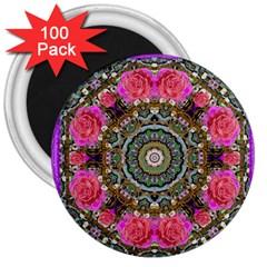 Roses In A Color Cascade Of Freedom And Peace 3  Magnets (100 Pack) by pepitasart