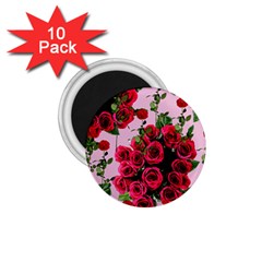 Roses Pink 1 75  Magnets (10 Pack) 