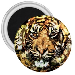 Tiger 1340039 3  Magnets