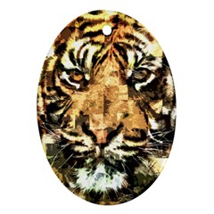 Tiger 1340039 Oval Ornament (two Sides) by 1iconexpressions