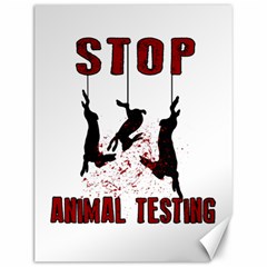 Stop Animal Testing - Rabbits  Canvas 12  x 16  