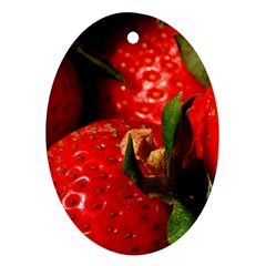 Red Strawberries Ornament (Oval)