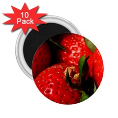 Red Strawberries 2 25  Magnets (10 Pack) 