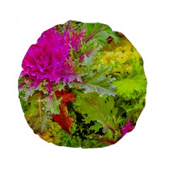 Colored Plants Photo Standard 15  Premium Round Cushions by dflcprints