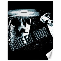Street Dogs Canvas 12  X 16  
