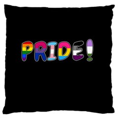 Pride Large Flano Cushion Case (two Sides)