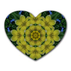 Fantasy Plumeria Decorative Real And Mandala Heart Mousepads by pepitasart