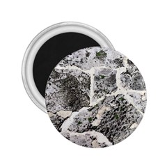 Coquina Shell Limestone Rocks 2 25  Magnets by Nexatart
