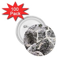 Coquina Shell Limestone Rocks 1 75  Buttons (100 Pack) 