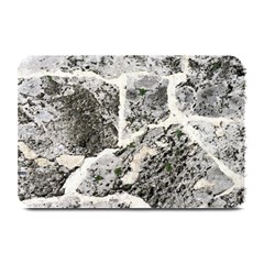 Coquina Shell Limestone Rocks Plate Mats by Nexatart