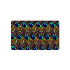 Peacock Feathers Bird Plumage Magnet (name Card) by Nexatart