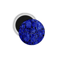 Neon Abstract Cobalt Blue Wood 1 75  Magnets by Nexatart