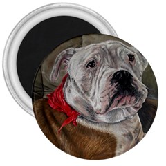 Dog Portrait 3  Magnets