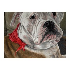 Dog Portrait Double Sided Flano Blanket (mini)  by redmaidenart