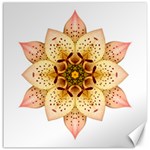 Asiatic Lily II Flower Mandala Canvas 20  x 20  