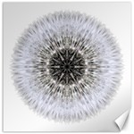 Dandelion Head Flower Mandala Canvas 20  x 20  