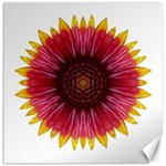 Galliardia Arizona Sun I Flower Mandala Canvas 20  x 20  
