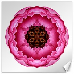 Pink Peony I Flower Mandala Canvas 16  x 16  