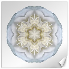 White Begonia Ii Flower Mandala Canvas 16  X 16  