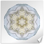 White Begonia II Flower Mandala Canvas 16  x 16  