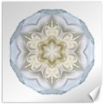 White Begonia II Flower Mandala Canvas 20  x 20   19 x19.27  Canvas - 1