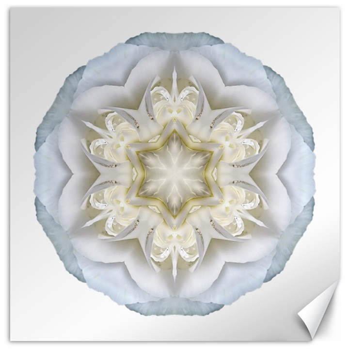 White Begonia II Flower Mandala Canvas 20  x 20  