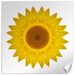 Yellow Sunflower Ii Flower Mandala Canvas 12  X 12  