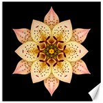 Asiatic Lily II Flower Mandala Canvas 20  x 20  