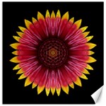 Galliardia Arizona Sun I Flower Mandala Canvas 16  x 16  