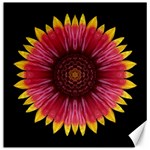 Galliardia Arizona Sun I Flower Mandala Canvas 20  x 20  