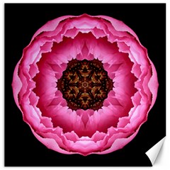 Pink Peony I Flower Mandala Canvas 16  X 16  