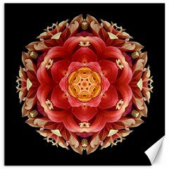 Red And Yellow Dahlia Iii Flower Mandala Canvas 12  X 12  