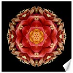 Red and Yellow Dahlia III Flower Mandala Canvas 16  x 16  