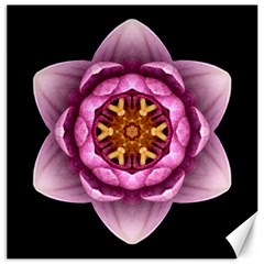 Water Lily X Flower Mandala Canvas 20  X 20  