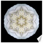 White Begonia II Flower Mandala Canvas 16  x 16  