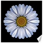 White Daisy I Flower Mandala Canvas 20  x 20   19 x19.27  Canvas - 1