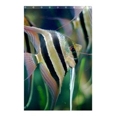 Angelfish 1 Shower Curtain 48  X 72  (small)  by trendistuff