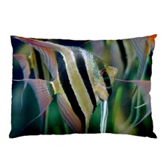 Angelfish 1 Pillow Case (two Sides) by trendistuff