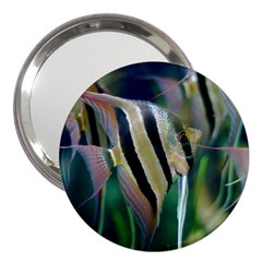 Angelfish 1 3  Handbag Mirrors by trendistuff