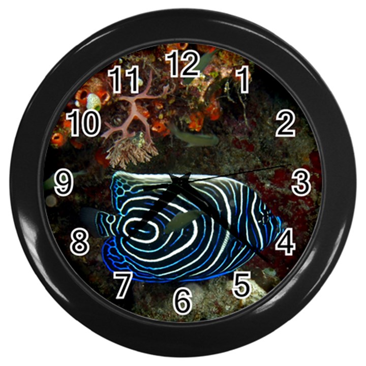 ANGELFISH 2 Wall Clocks (Black)