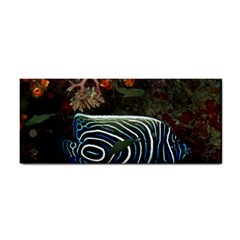 Angelfish 2 Cosmetic Storage Cases by trendistuff