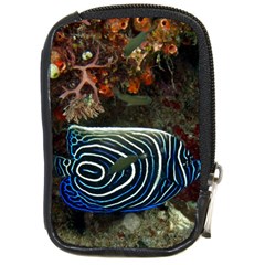 Angelfish 2 Compact Camera Cases by trendistuff