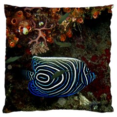 Angelfish 2 Large Flano Cushion Case (one Side) by trendistuff