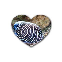 Angelfish 3 Rubber Coaster (heart)  by trendistuff