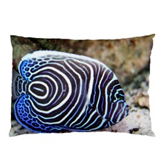 Angelfish 3 Pillow Case (two Sides) by trendistuff