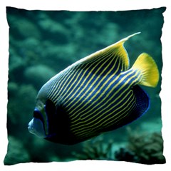 Angelfish 4 Large Flano Cushion Case (two Sides) by trendistuff