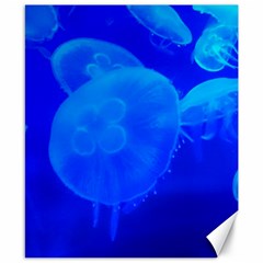 Blue Jellyfish 1 Canvas 8  X 10  by trendistuff